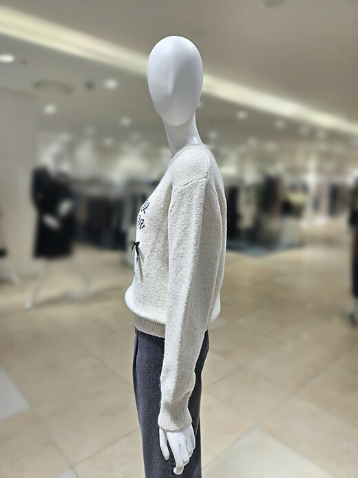 이미지설명