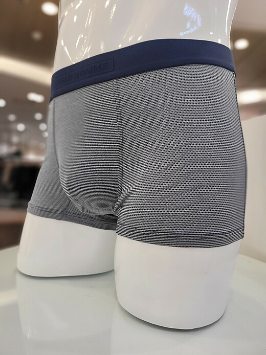 이미지설명