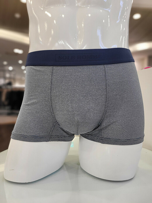 이미지설명