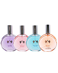 명품향수st 크리스찬딘 여성향수 50ML