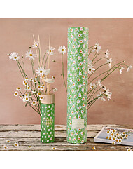 모던하우스 엠마하그만파라다이스 크레용가든 430ml AR0325011