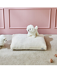 모던하우스 펫본 커버분리형 소프트 사각방석 IVORY PT0825005