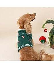 모던하우스 펫본 크리스마스 캔디캐인 니트 그린 L PT0125014