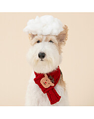 모던하우스 펫본 크리스마스 루돌프 쁘띠목도리 레드 PT0625009