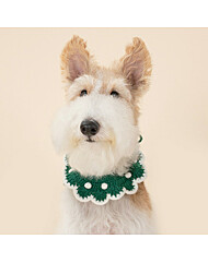 모던하우스 펫본 크리스마스 플라워 크로쉐 그린 PT0625008