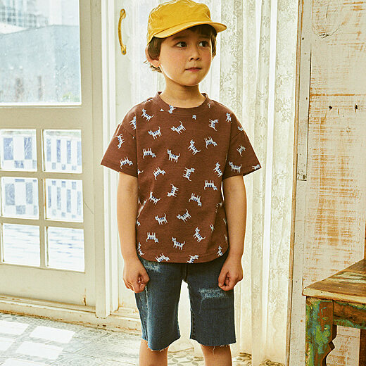 이미지설명